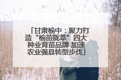 甘肃榆中：聚力打造“榆苗陇萃”四大种业育苗品牌 加速农业强县转型步伐