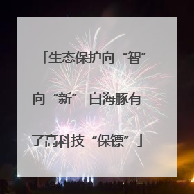 生态保护向“智”向“新” 白海豚有了高科技“保镖”