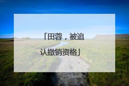 田蓉，被追认撤销资格