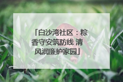 白沙湾社区：粽香守安筑防线 清风润廉护家园