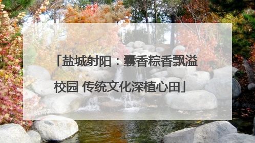 盐城射阳：囊香粽香飘溢校园 传统文化深植心田