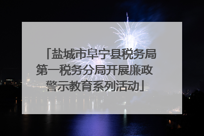 盐城市阜宁县税务局第一税务分局开展廉政警示教育系列活动