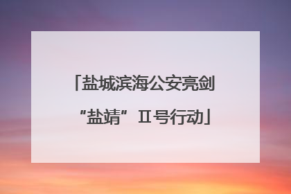 盐城滨海公安亮剑“盐靖”Ⅱ号行动