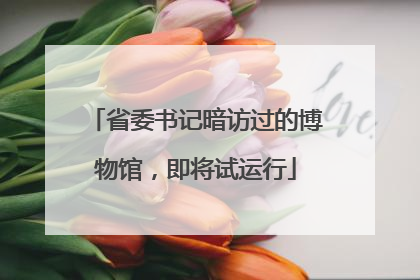 省委书记暗访过的博物馆，即将试运行