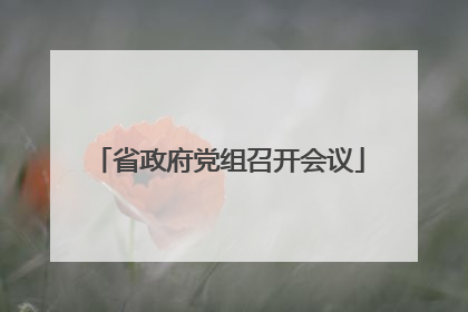 省政府党组召开会议