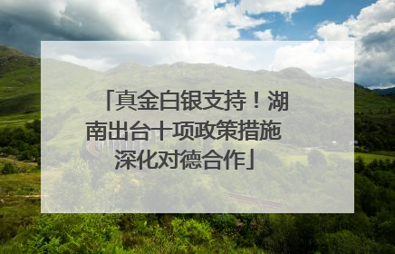 真金白银支持！湖南出台十项政策措施深化对德合作