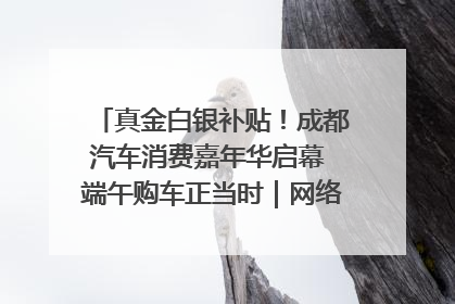 真金白银补贴！成都汽车消费嘉年华启幕 端午购车正当时｜网络中国节·端午