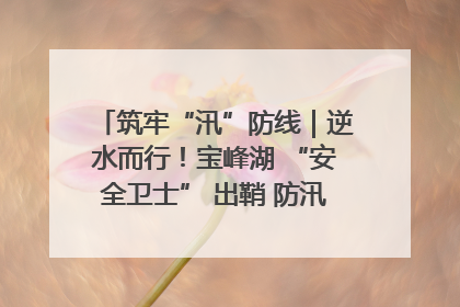筑牢“汛”防线｜逆水而行！宝峰湖 “安全卫士” 出鞘 防汛应急再添硬核力量