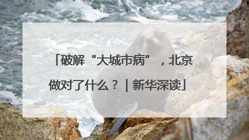 破解“大城市病”，北京做对了什么？｜新华深读