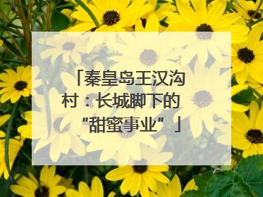 秦皇岛王汉沟村：长城脚下的“甜蜜事业”