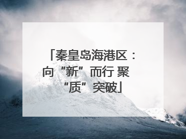 秦皇岛海港区：向“新”而行 聚“质”突破