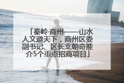 秦岭·商州——山水人文邀天下，商州区委副书记、区长支朝奇推介5个重点招商项目