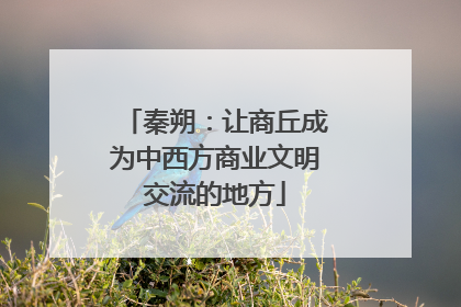 秦朔：让商丘成为中西方商业文明交流的地方