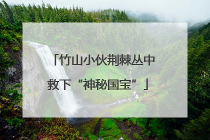 竹山小伙荆棘丛中救下“神秘国宝”