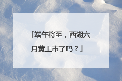 端午将至，西湖六月黄上市了吗？