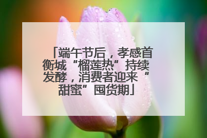 端午节后，孝感首衡城“榴莲热”持续发酵，消费者迎来“甜蜜”囤货期