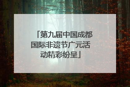 第九届中国成都国际非遗节广元活动精彩纷呈