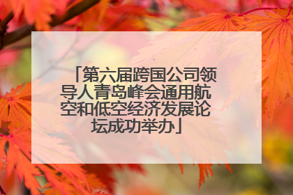 第六届跨国公司领导人青岛峰会通用航空和低空经济发展论坛成功举办