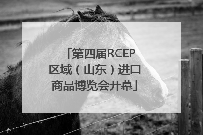 第四届RCEP区域（山东）进口商品博览会开幕