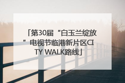 第30届“白玉兰绽放”电视节临港新片区CITY WALK路线