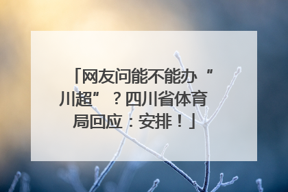 网友问能不能办“川超”？四川省体育局回应：安排！