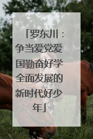 罗东川：争当爱党爱国勤奋好学全面发展的新时代好少年