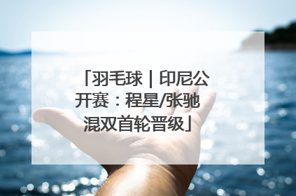 羽毛球｜印尼公开赛：程星/张驰混双首轮晋级