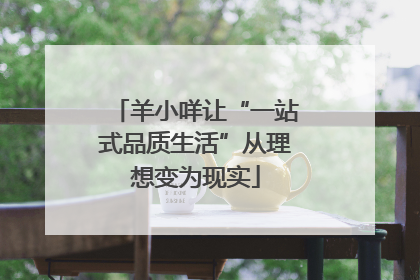 羊小咩让“一站式品质生活”从理想变为现实