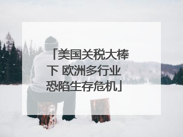 美国关税大棒下 欧洲多行业恐陷生存危机