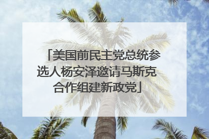 美国前民主党总统参选人杨安泽邀请马斯克合作组建新政党
