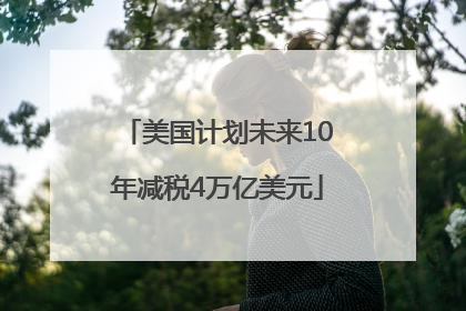 美国计划未来10年减税4万亿美元
