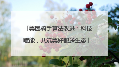 美团骑手算法改进：科技赋能，共筑美好配送生态
