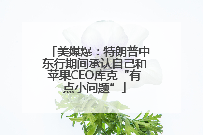 美媒爆：特朗普中东行期间承认自己和苹果CEO库克“有点小问题”