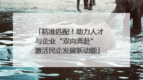 精准匹配！助力人才与企业“双向奔赴” 激活民企发展新动能