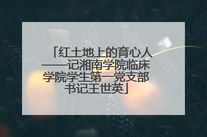 红土地上的育心人——记湘南学院临床学院学生第一党支部书记王世英