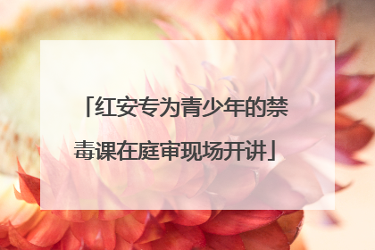 红安专为青少年的禁毒课在庭审现场开讲