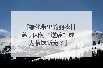 绿化带里的羽衣甘蓝，因何“逆袭”成为茶饮新宠？