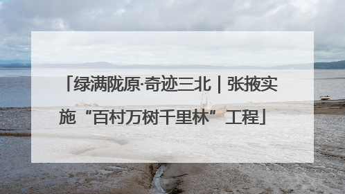 绿满陇原·奇迹三北｜张掖实施“百村万树千里林”工程