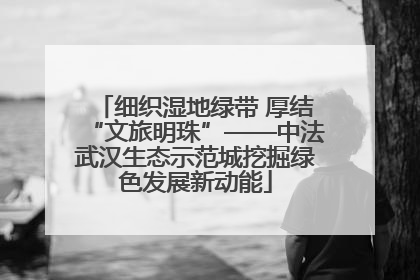 细织湿地绿带 厚结“文旅明珠”——中法武汉生态示范城挖掘绿色发展新动能