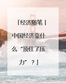 经济随笔丨中国经济靠什么“顶住了压力”？