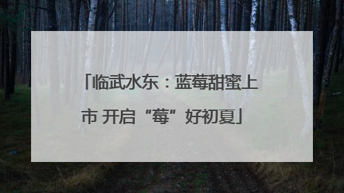 临武水东：蓝莓甜蜜上市 开启“莓”好初夏