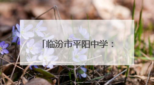 临汾市平阳中学：擎炬砺锋赴山海 青春扬帆启新程