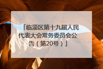 临淄区第十九届人民代表大会常务委员会公告（第20号）