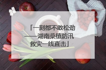 一刻都不敢松劲——湖南桑植防汛救灾一线直击