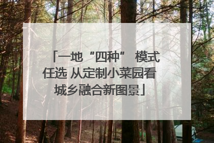 一地“四种” 模式任选 从定制小菜园看城乡融合新图景