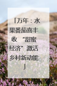 万年：水果番茄喜丰收 “甜蜜经济”激活乡村新动能