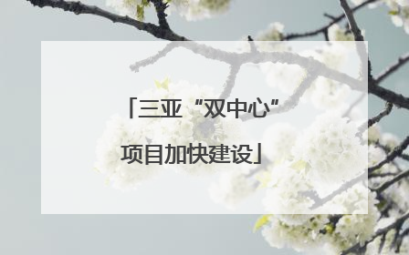 三亚“双中心”项目加快建设