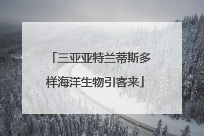 三亚亚特兰蒂斯多样海洋生物引客来