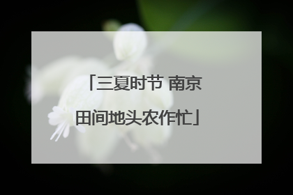 三夏时节 南京田间地头农作忙