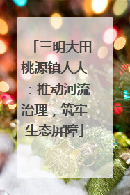 三明大田桃源镇人大：推动河流治理，筑牢生态屏障